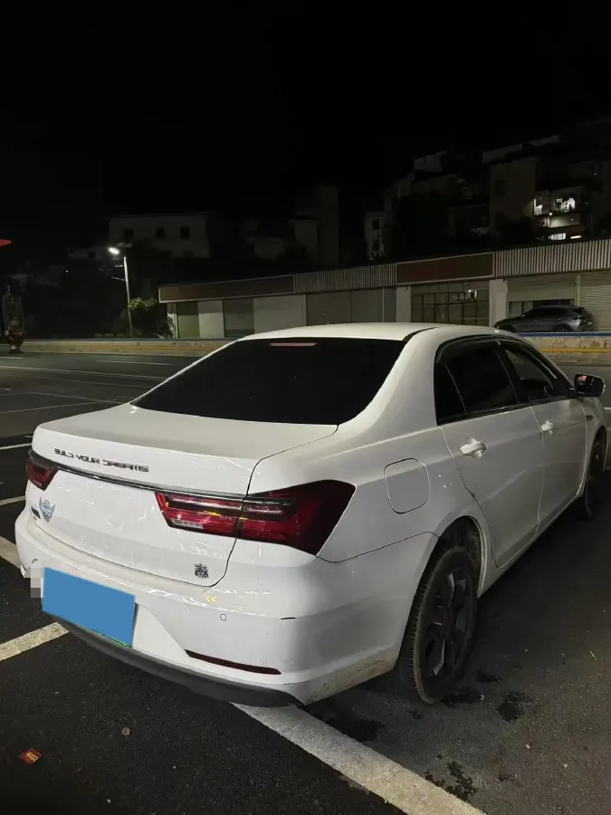 2021 BYD Qin BEV 53.56KWH,autocango,china used car exporter,china ev exporter,chinese used car exporter,chinese used ev exporter