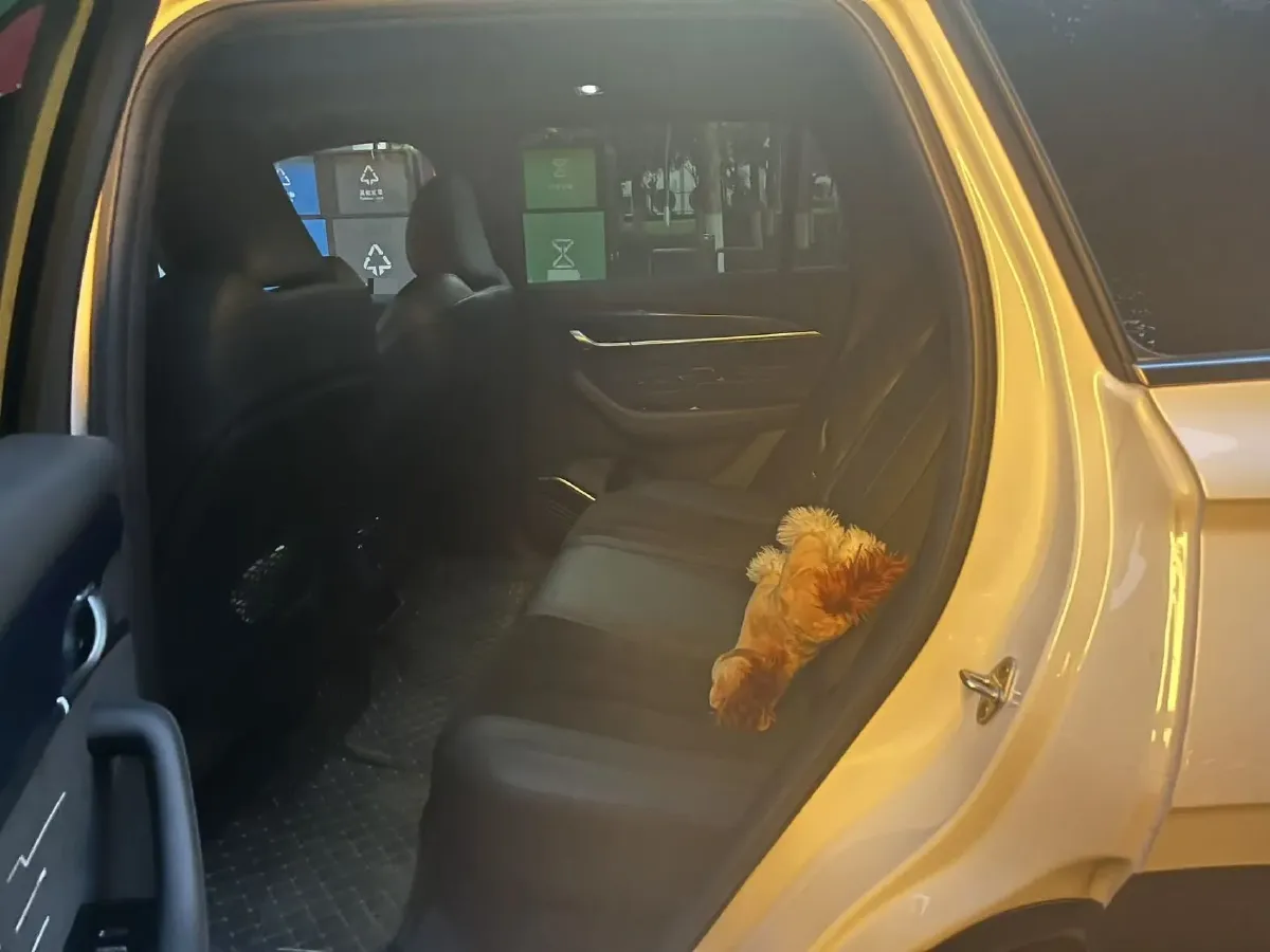 2024 Geely Monjaro 2.0T 238HP L4 8AT,autocango,china used car exporter,china ev exporter,chinese used car exporter,chinese used ev exporter