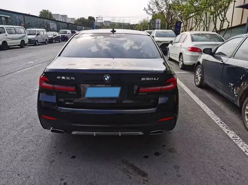 2021 BMW 5 Series 2.0T 252HP L4 8AT,autocango,china used car exporter,china ev exporter,chinese used car exporter,chinese used ev exporter