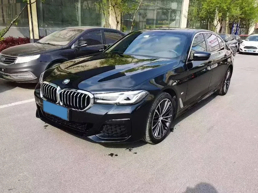2021 BMW 5 Series 2.0T 252HP L4 8AT,autocango,china used car exporter,china ev exporter,chinese used car exporter,chinese used ev exporter