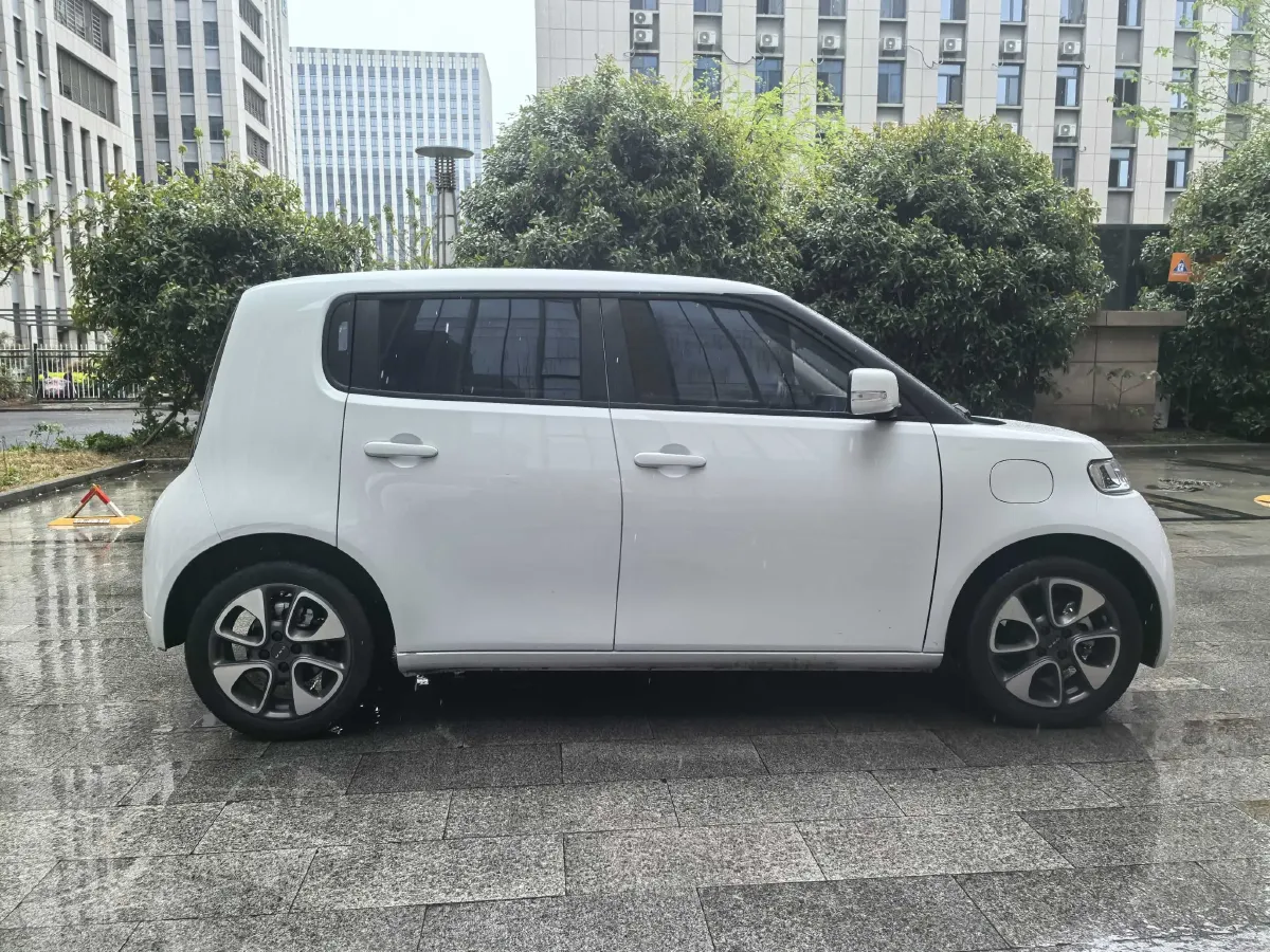 2020 Ora WhiteCat BEV 29.4KWH,autocango,china used car exporter,china ev exporter,chinese used car exporter,chinese used ev exporter