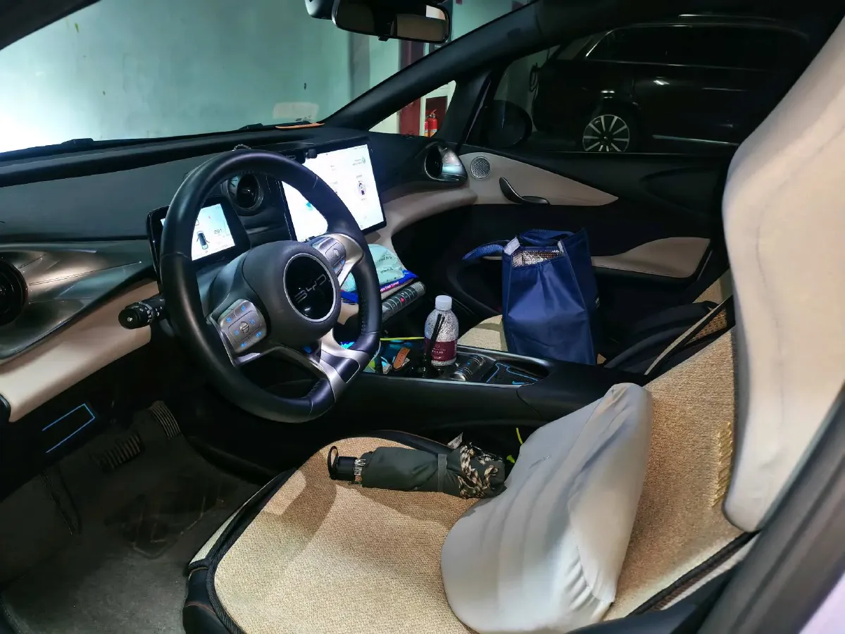 2023 BYD Dolphin BEV 44.928KWH,autocango,china used car exporter,china ev exporter,chinese used car exporter,chinese used ev exporter