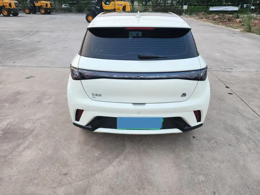 2023 BYD Dolphin BEV 44.928KWH,autocango,china used car exporter,china ev exporter,chinese used car exporter,chinese used ev exporter