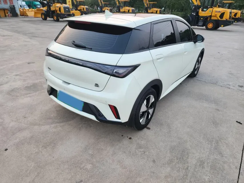 2023 BYD Dolphin BEV 44.928KWH,autocango,china used car exporter,china ev exporter,chinese used car exporter,chinese used ev exporter