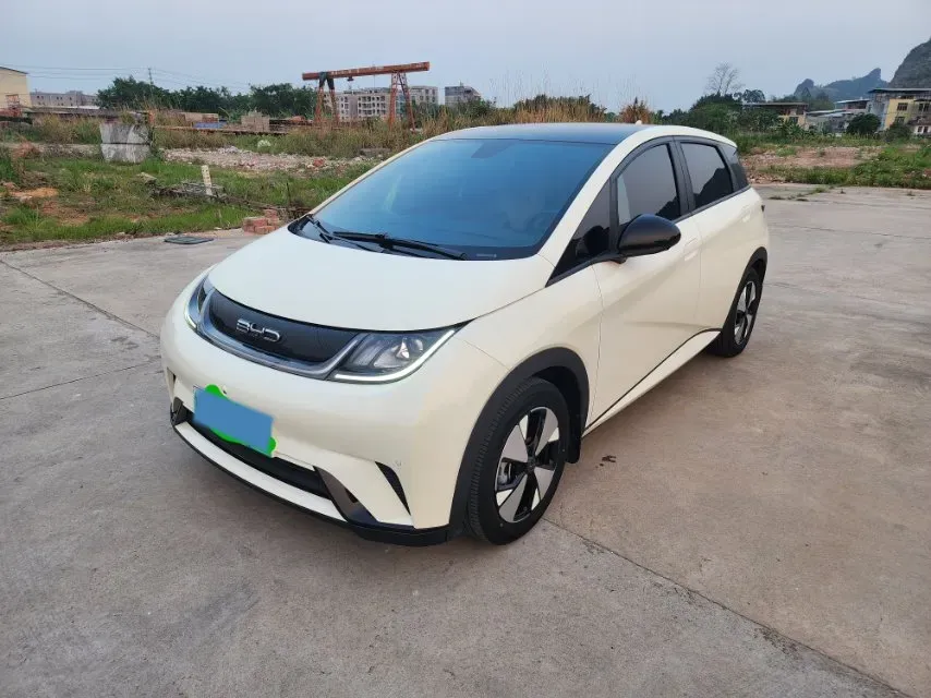 2023 BYD Dolphin BEV 44.928KWH,autocango,china used car exporter,china ev exporter,chinese used car exporter,chinese used ev exporter