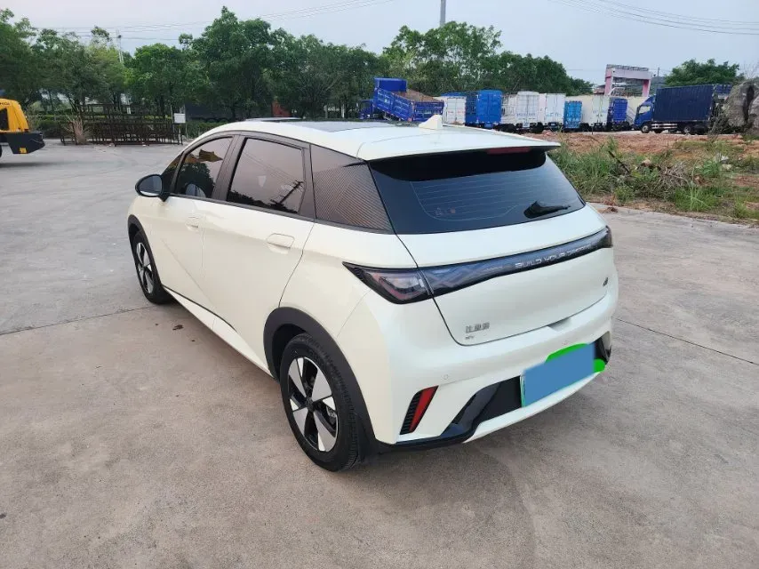 2023 BYD Dolphin BEV 44.928KWH,autocango,china used car exporter,china ev exporter,chinese used car exporter,chinese used ev exporter