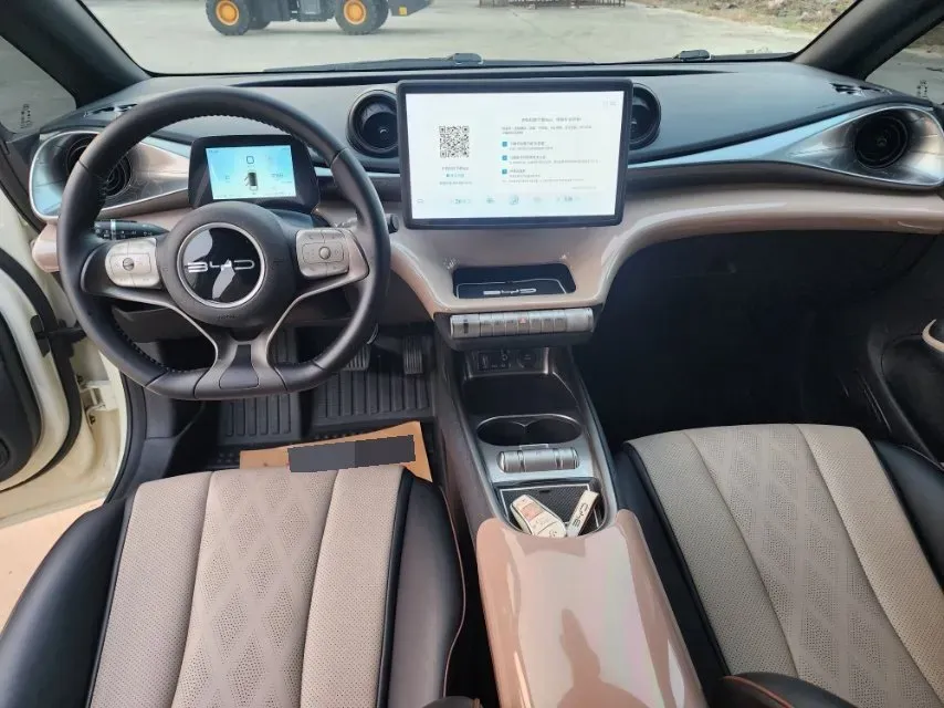 2023 BYD Dolphin BEV 44.928KWH,autocango,china used car exporter,china ev exporter,chinese used car exporter,chinese used ev exporter