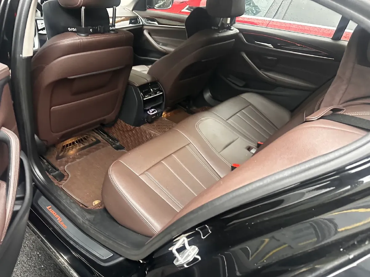 2020 BMW 5 Series 2.0T 184HP L4 8AT,autocango,china used car exporter,china ev exporter,chinese used car exporter,chinese used ev exporter