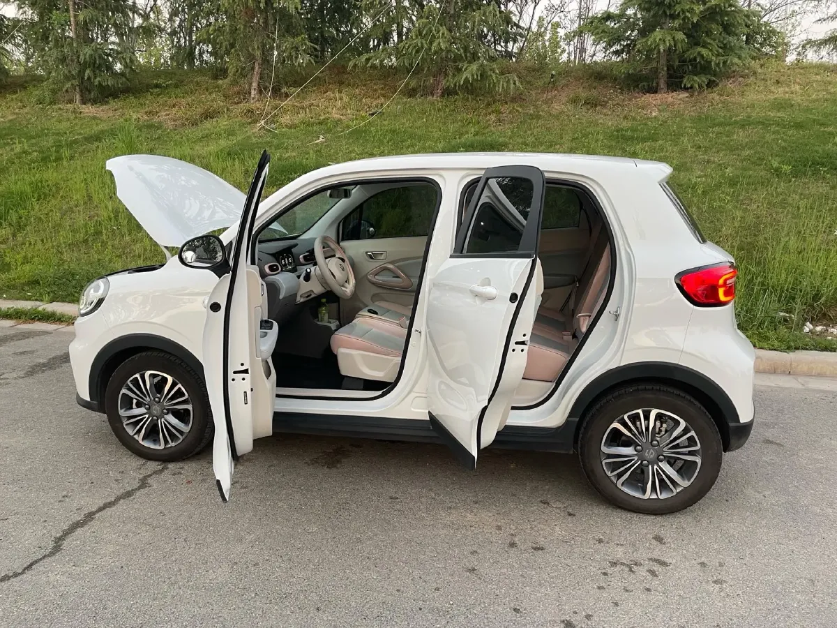 2024 Leapmotor T03 BEV 31.9KWH,autocango,china used car exporter,china ev exporter,chinese used car exporter,chinese used ev exporter