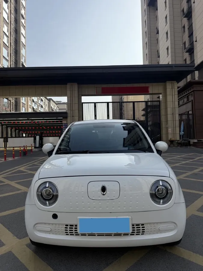 2021 Ora BlackCat BEV 33KWH,autocango,china used car exporter,china ev exporter,chinese used car exporter,chinese used ev exporter