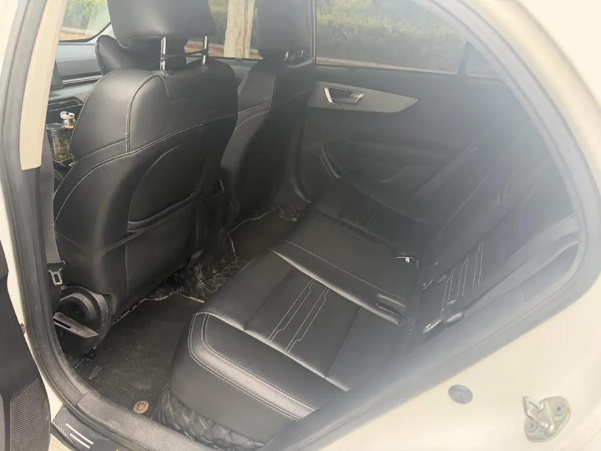 2019 BYD Qin BEV 53.1KWH,autocango,china used car exporter,china ev exporter,chinese used car exporter,chinese used ev exporter