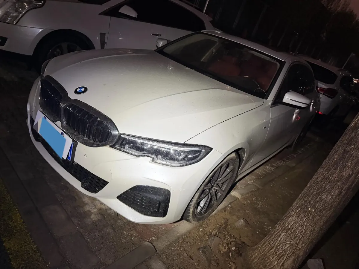 2021 BMW 3 Series 2.0T 156HP L4 8AT,autocango,china used car exporter,china ev exporter,chinese used car exporter,chinese used ev exporter