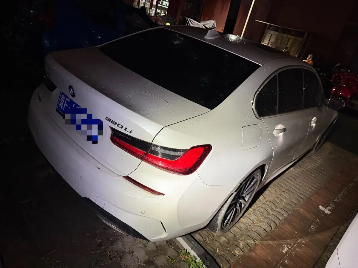 2021 BMW 3 Series 2.0T 156HP L4 8AT,autocango,china used car exporter,china ev exporter,chinese used car exporter,chinese used ev exporter