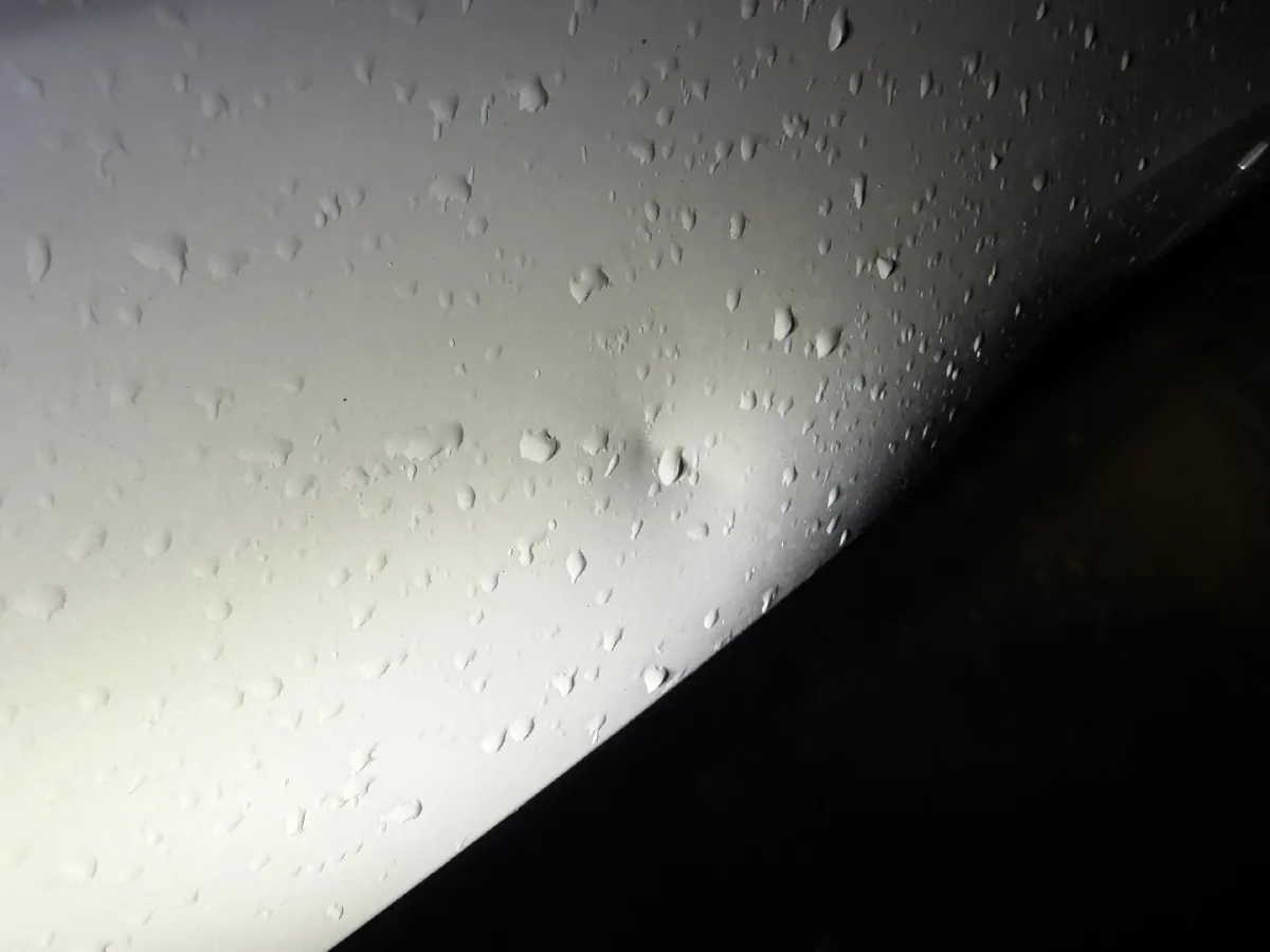 2021 BMW 3 Series 2.0T 156HP L4 8AT,autocango,china used car exporter,china ev exporter,chinese used car exporter,chinese used ev exporter