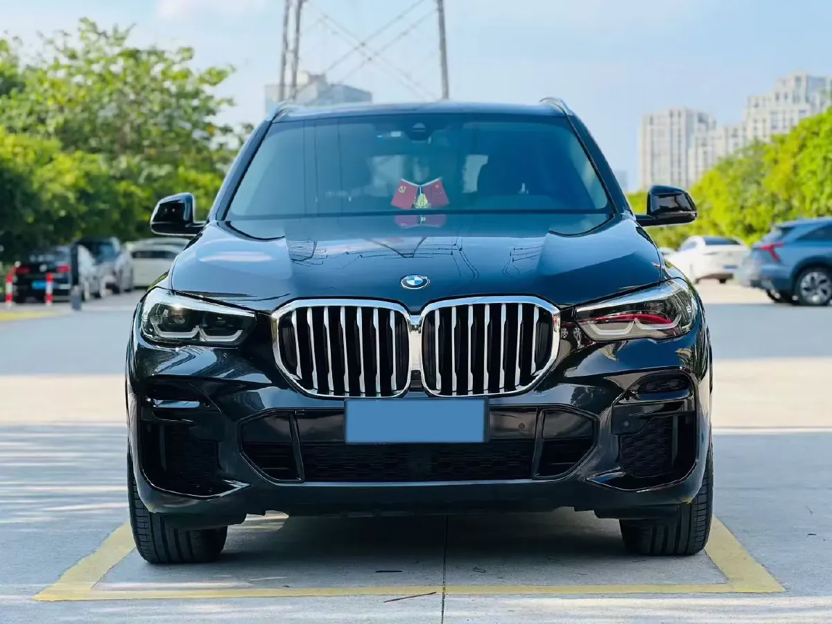 2021 BMW X5 2.0T 265HP L4 8AT,autocango,china used car exporter,china ev exporter,chinese used car exporter,chinese used ev exporter
