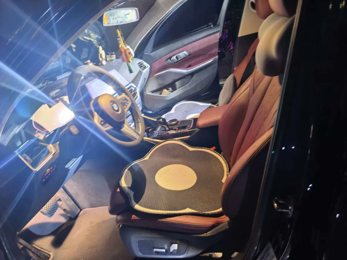 2022 BMW 3 Series 2.0T 184HP L4 8AT,autocango,china used car exporter,china ev exporter,chinese used car exporter,chinese used ev exporter