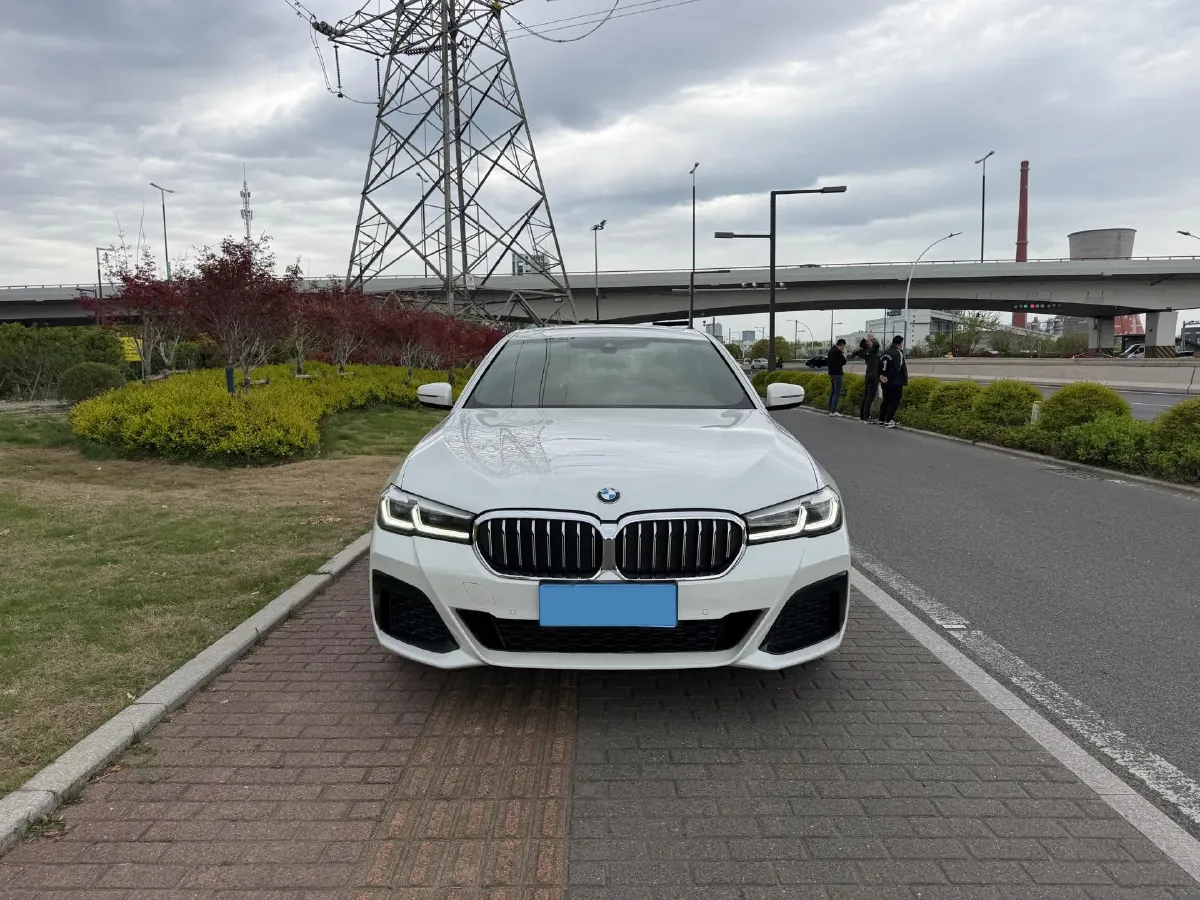 2021 BMW 5 Series 2.0T 184HP L4 8AT,autocango,china used car exporter,china ev exporter,chinese used car exporter,chinese used ev exporter