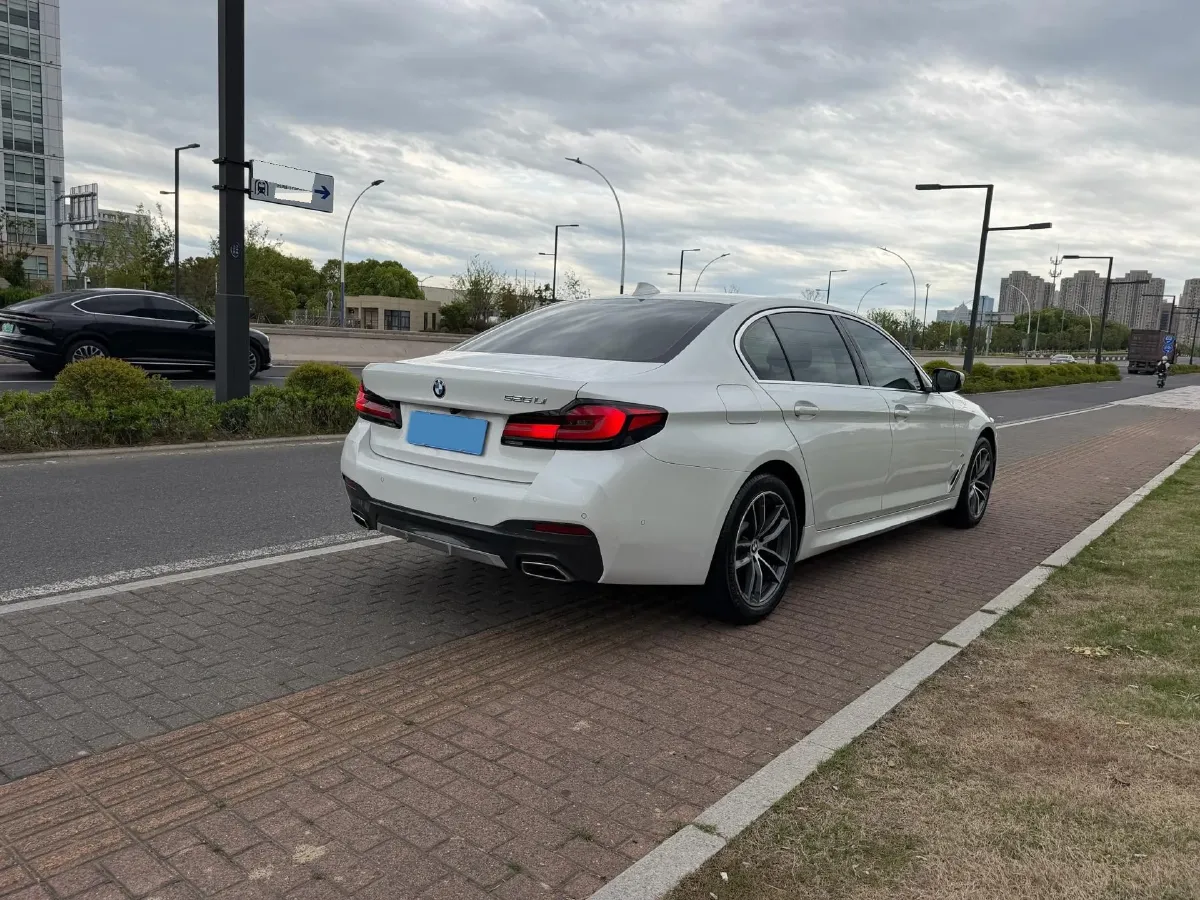 2021 BMW 5 Series 2.0T 184HP L4 8AT,autocango,china used car exporter,china ev exporter,chinese used car exporter,chinese used ev exporter