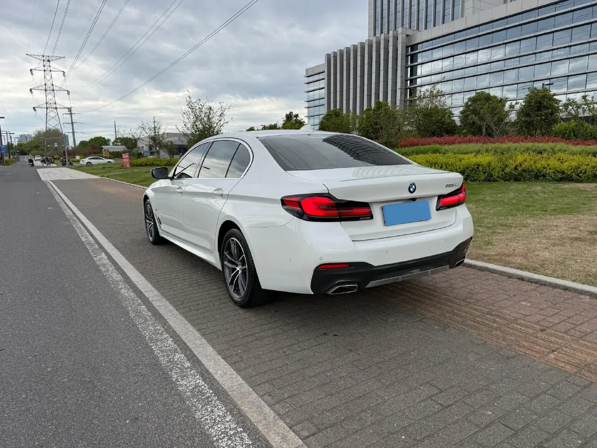 2021 BMW 5 Series 2.0T 184HP L4 8AT,autocango,china used car exporter,china ev exporter,chinese used car exporter,chinese used ev exporter
