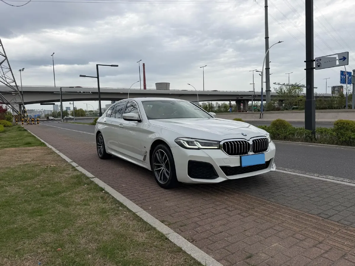 2021 BMW 5 Series 2.0T 184HP L4 8AT,autocango,china used car exporter,china ev exporter,chinese used car exporter,chinese used ev exporter
