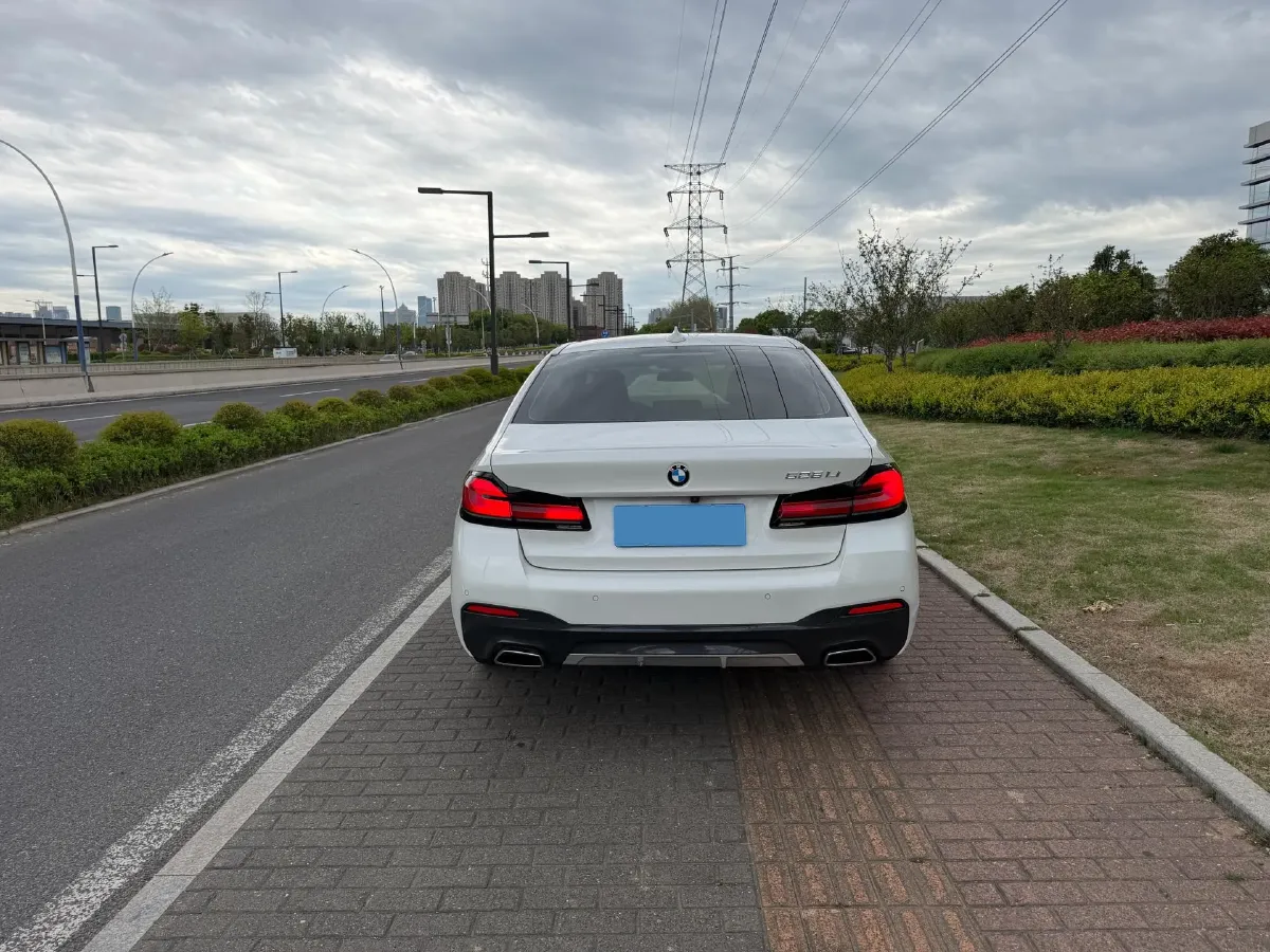 2021 BMW 5 Series 2.0T 184HP L4 8AT,autocango,china used car exporter,china ev exporter,chinese used car exporter,chinese used ev exporter