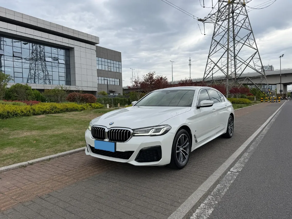 2021 BMW 5 Series 2.0T 184HP L4 8AT,autocango,china used car exporter,china ev exporter,chinese used car exporter,chinese used ev exporter