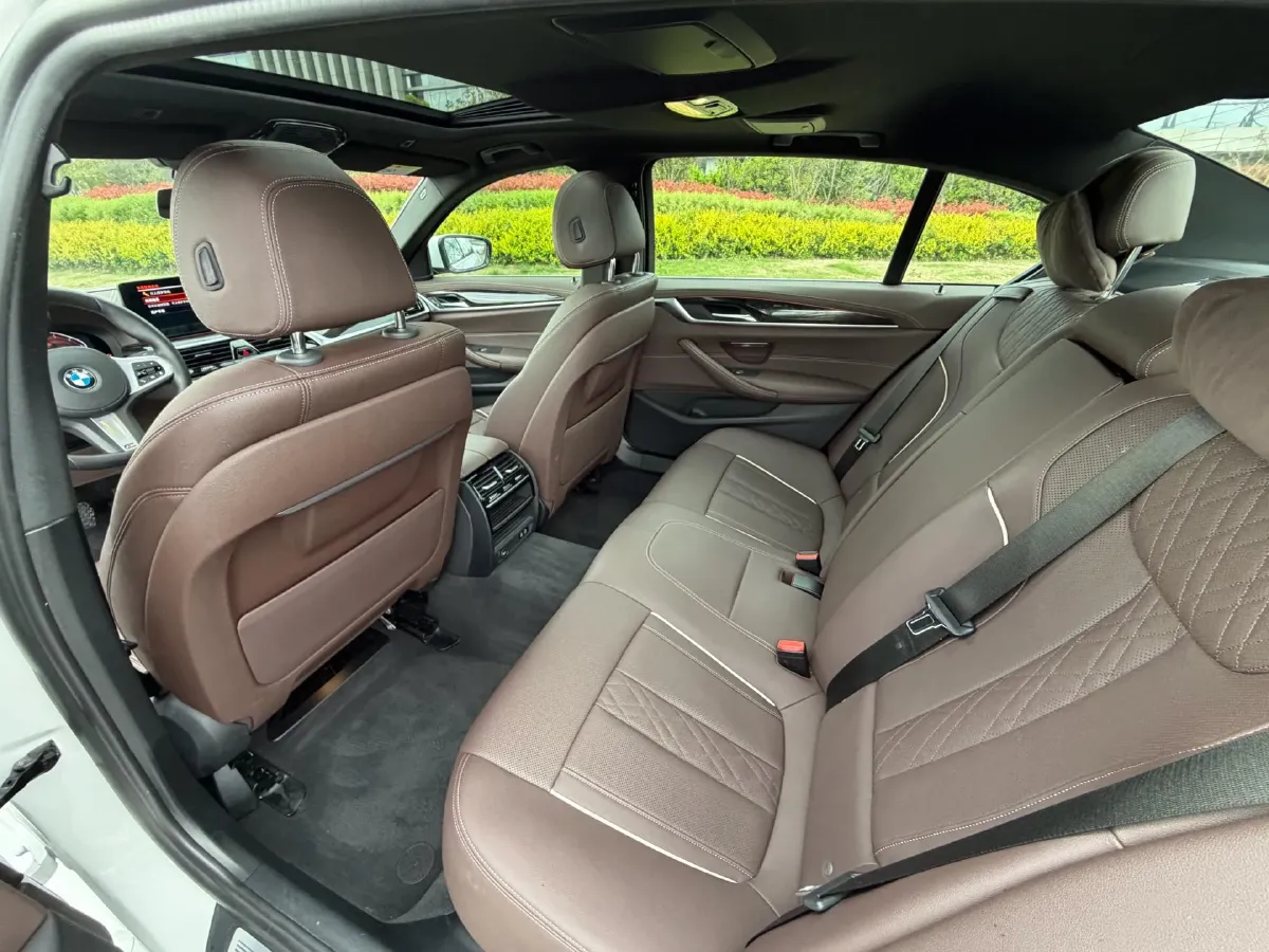 2021 BMW 5 Series 2.0T 184HP L4 8AT,autocango,china used car exporter,china ev exporter,chinese used car exporter,chinese used ev exporter