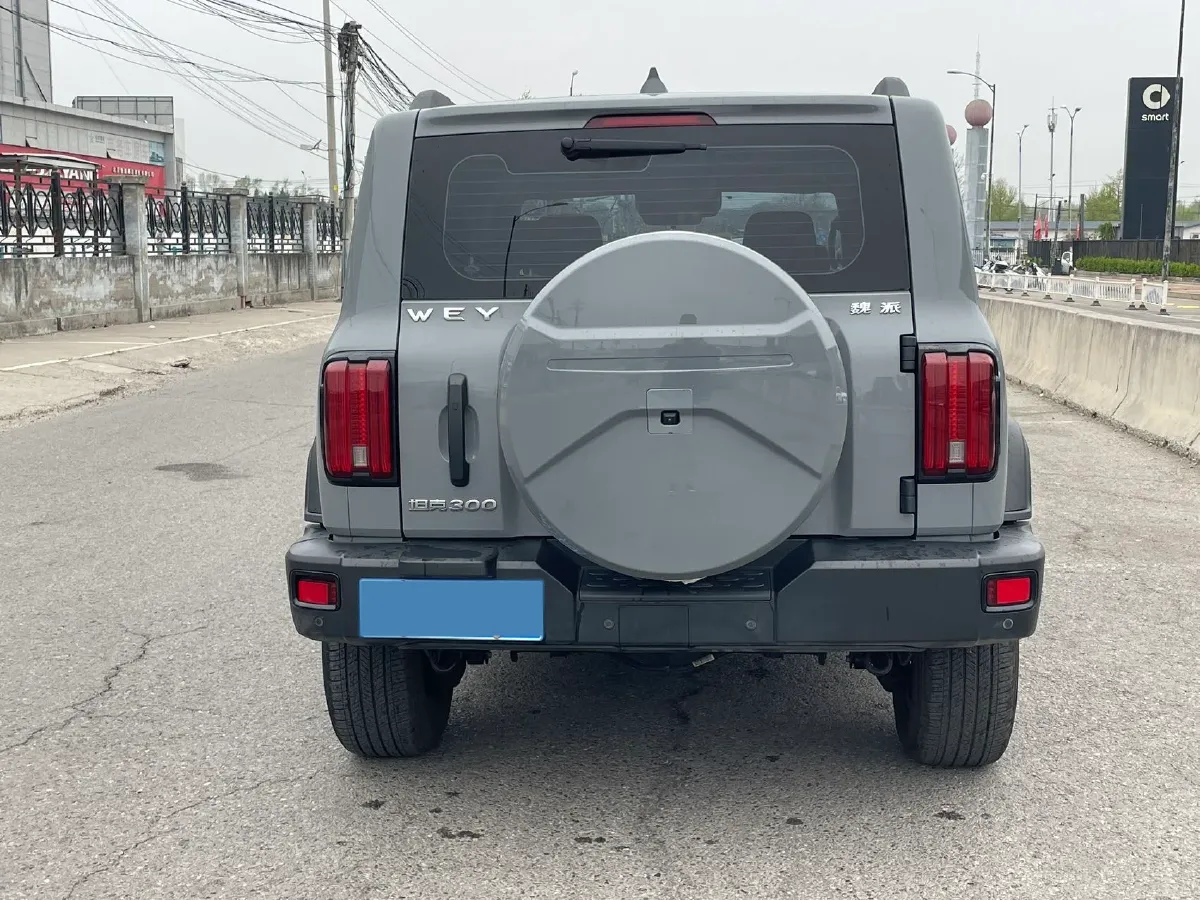 2021 Tank 300 2.0T 227HP L4 8AT,autocango,china used car exporter,china ev exporter,chinese used car exporter,chinese used ev exporter