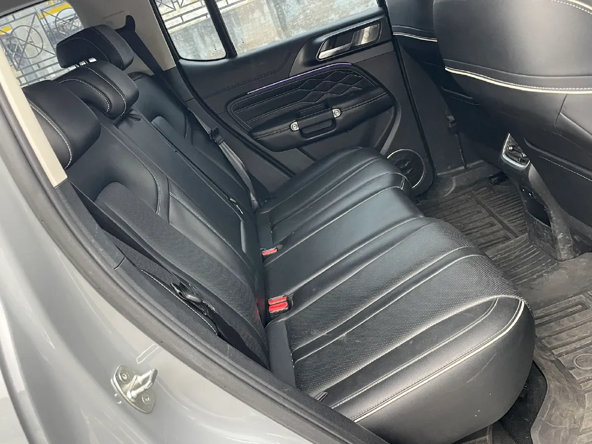 2021 Tank 300 2.0T 227HP L4 8AT,autocango,china used car exporter,china ev exporter,chinese used car exporter,chinese used ev exporter