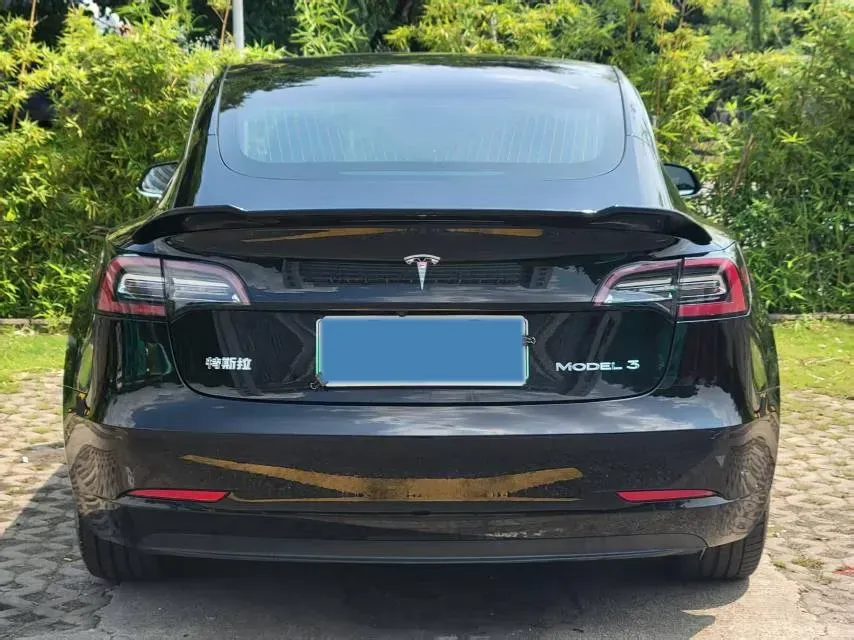 2020 Tesla Model 3 BEV 52KWH,autocango,china used car exporter,china ev exporter,chinese used car exporter,chinese used ev exporter