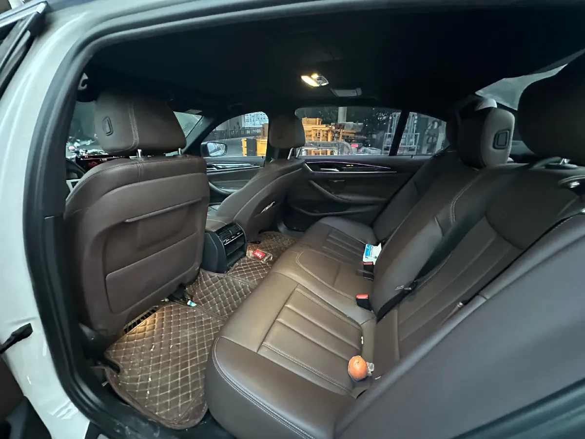 2020 BMW 5 Series 2.0T 184HP L4 8AT,autocango,china used car exporter,china ev exporter,chinese used car exporter,chinese used ev exporter