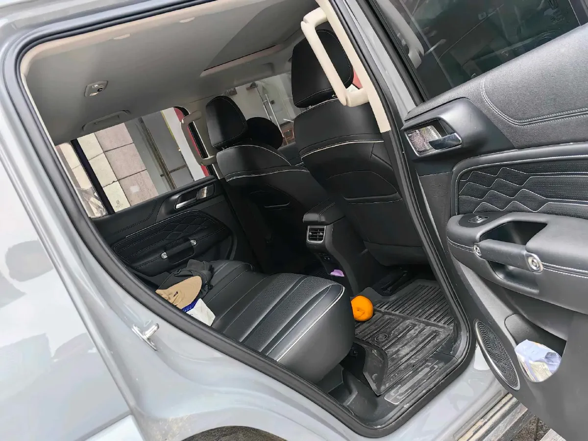 2023 Tank 300 2.0T 227HP L4 8AT,autocango,china used car exporter,china ev exporter,chinese used car exporter,chinese used ev exporter