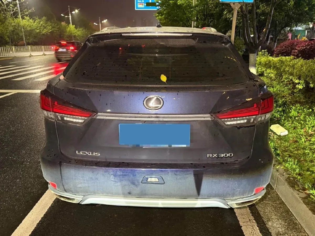 2020 Lexus RX 2.0T 231HP L4 6AT,autocango,china used car exporter,china ev exporter,chinese used car exporter,chinese used ev exporter