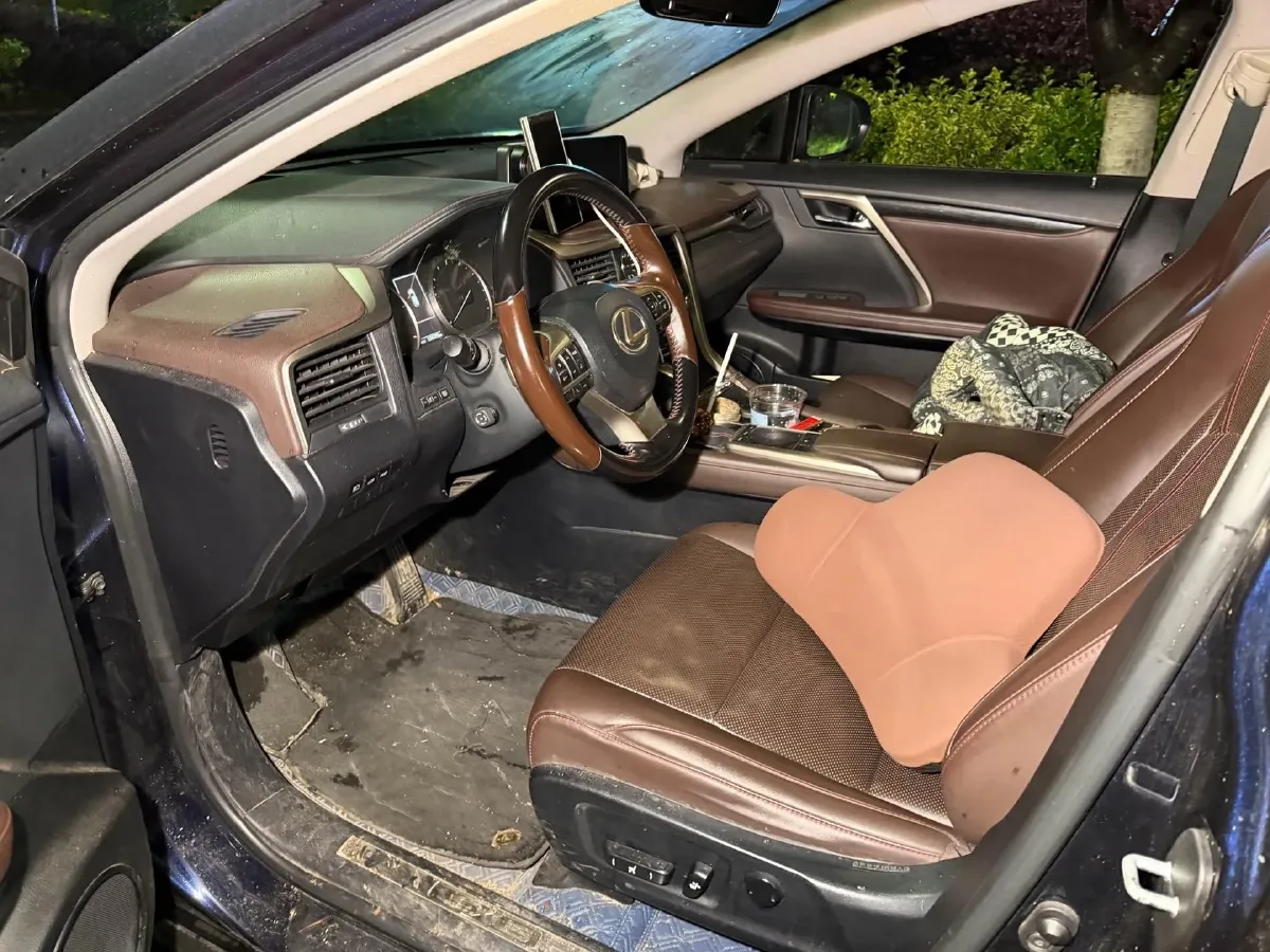 2020 Lexus RX 2.0T 231HP L4 6AT,autocango,china used car exporter,china ev exporter,chinese used car exporter,chinese used ev exporter