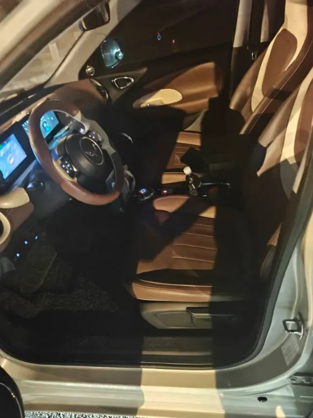 2023 WuLing BinGuo BEV 31.9KWH,autocango,china used car exporter,china ev exporter,chinese used car exporter,chinese used ev exporter