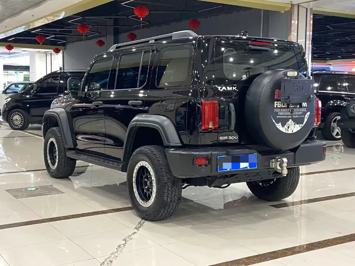 2021 Tank 300 2.0T 227HP L4 8AT,autocango,china used car exporter,china ev exporter,chinese used car exporter,chinese used ev exporter