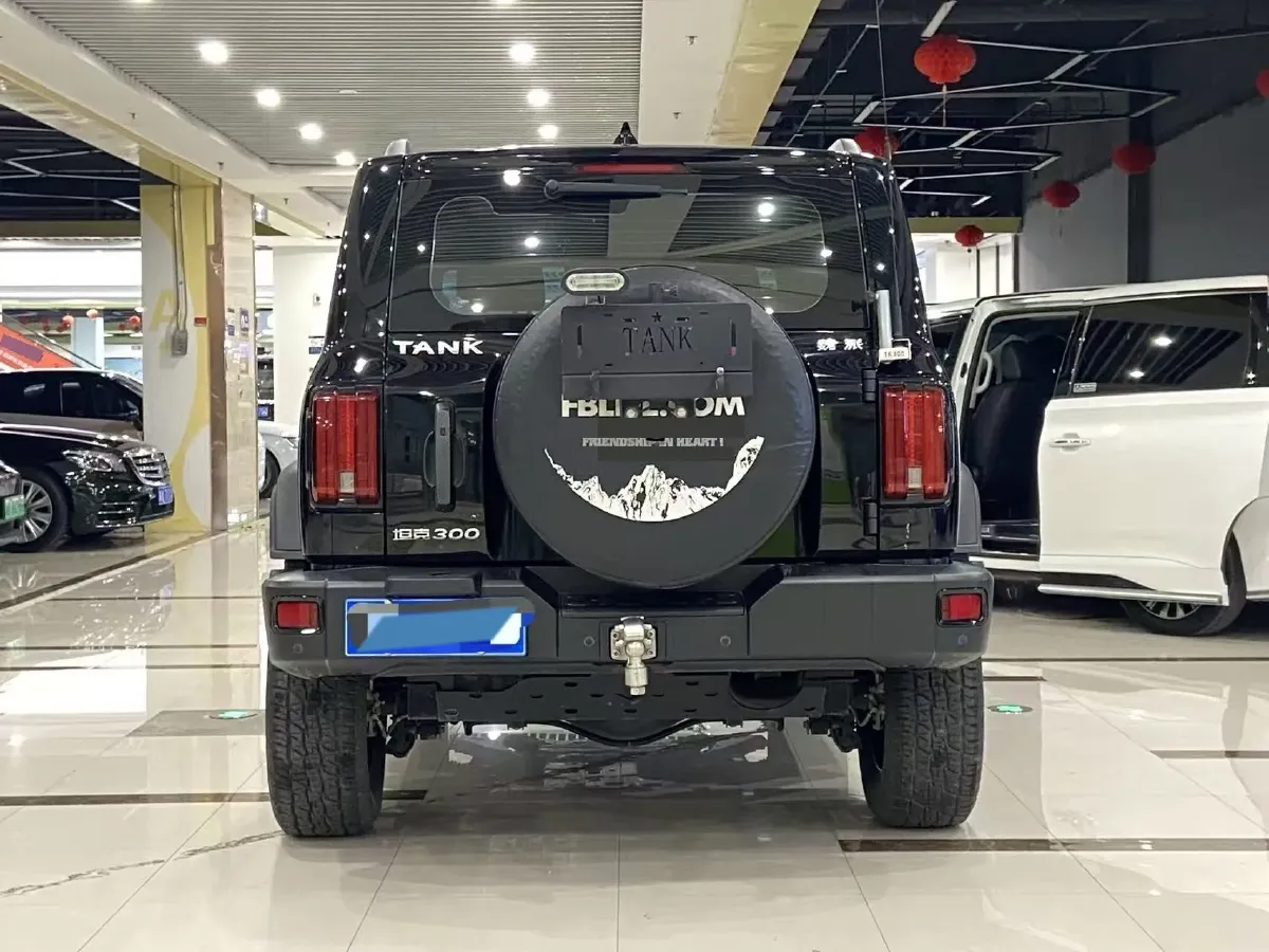 2021 Tank 300 2.0T 227HP L4 8AT,autocango,china used car exporter,china ev exporter,chinese used car exporter,chinese used ev exporter