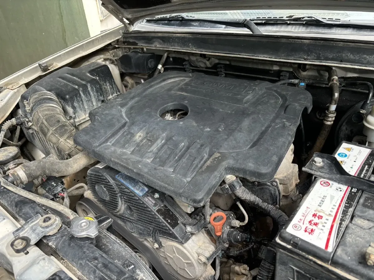 2020 Great Wall Wingle 5 2.0T 136HP L4 6MT,autocango,china used car exporter,china ev exporter,chinese used car exporter,chinese used ev exporter