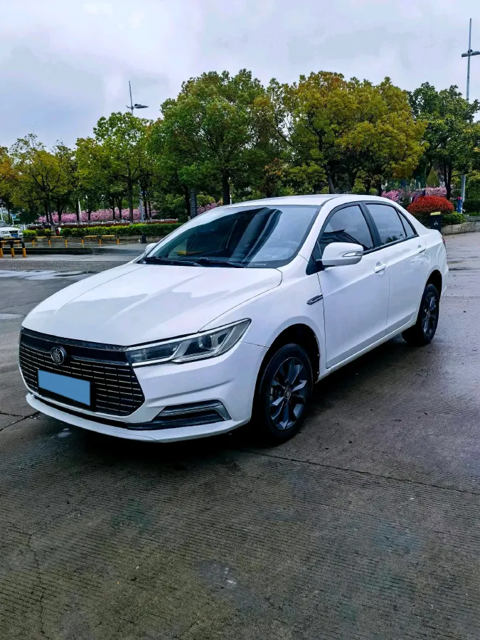 2021 BYD Qin BEV 53.56KWH,autocango,china used car exporter,china ev exporter,chinese used car exporter,chinese used ev exporter