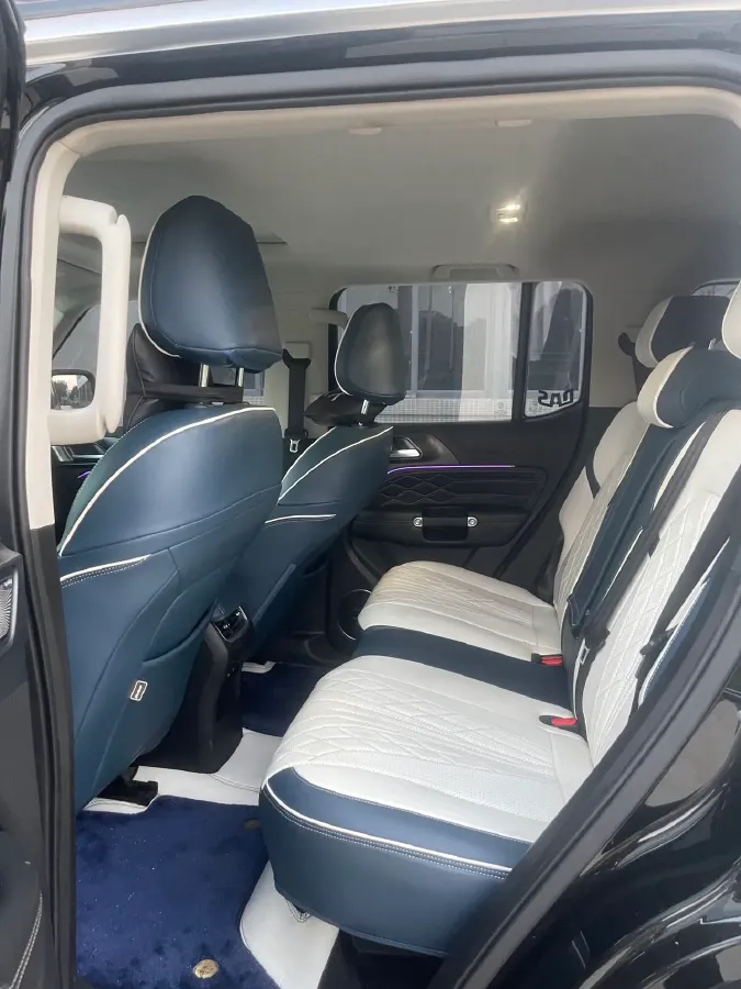 2021 Tank 300 2.0T 227HP L4 8AT,autocango,china used car exporter,china ev exporter,chinese used car exporter,chinese used ev exporter