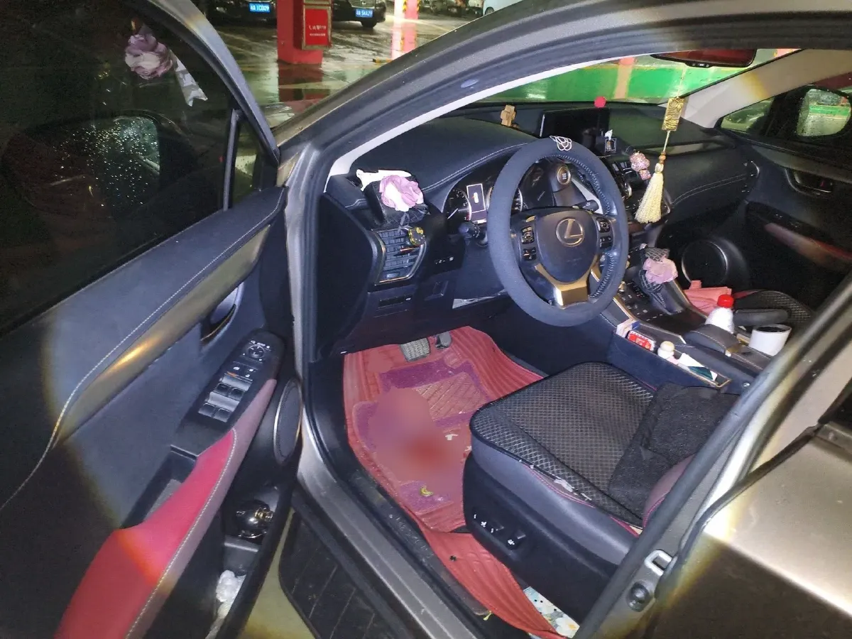 2018 Lexus NX 2.0T 238HP L4 6AT,autocango,china used car exporter,china ev exporter,chinese used car exporter,chinese used ev exporter