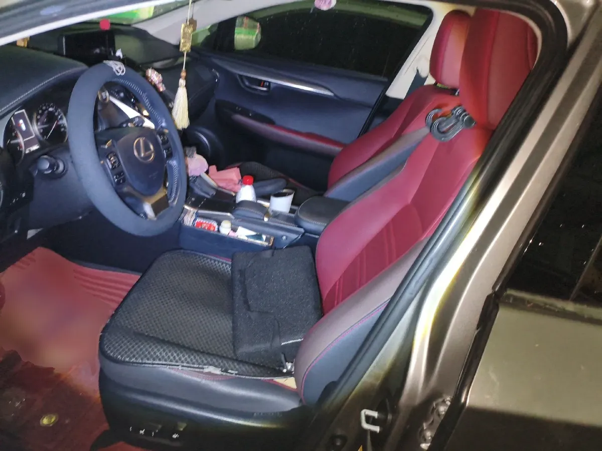 2018 Lexus NX 2.0T 238HP L4 6AT,autocango,china used car exporter,china ev exporter,chinese used car exporter,chinese used ev exporter