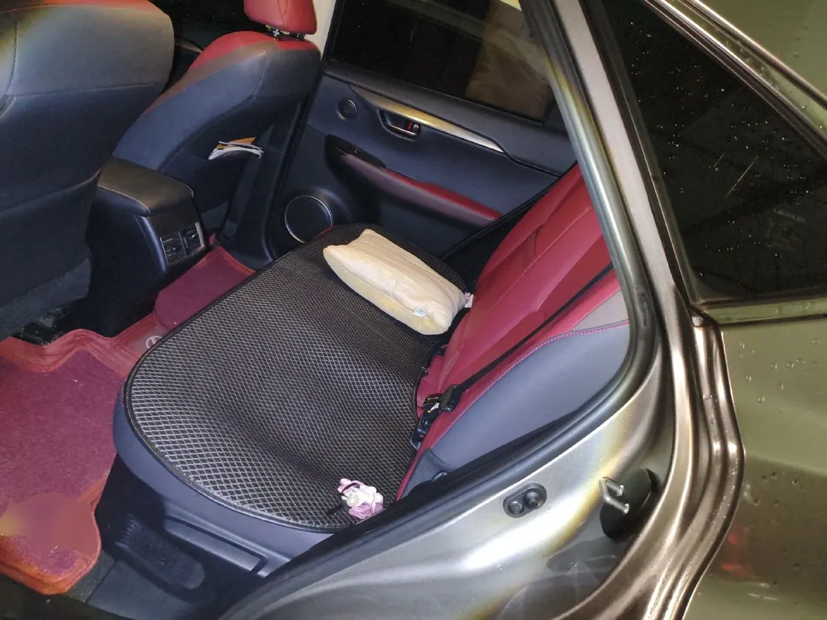 2018 Lexus NX 2.0T 238HP L4 6AT,autocango,china used car exporter,china ev exporter,chinese used car exporter,chinese used ev exporter