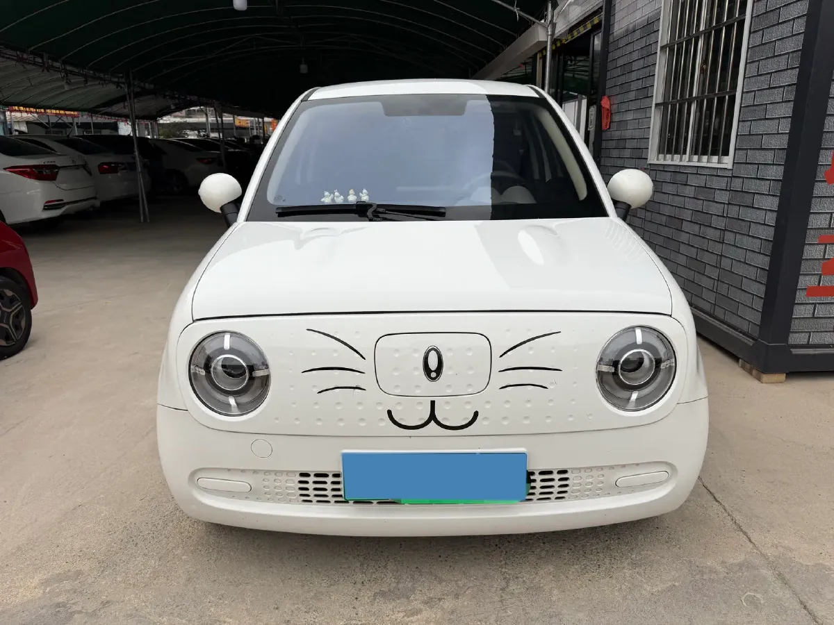 2021 Ora BlackCat BEV 33KWH,autocango,china used car exporter,china ev exporter,chinese used car exporter,chinese used ev exporter