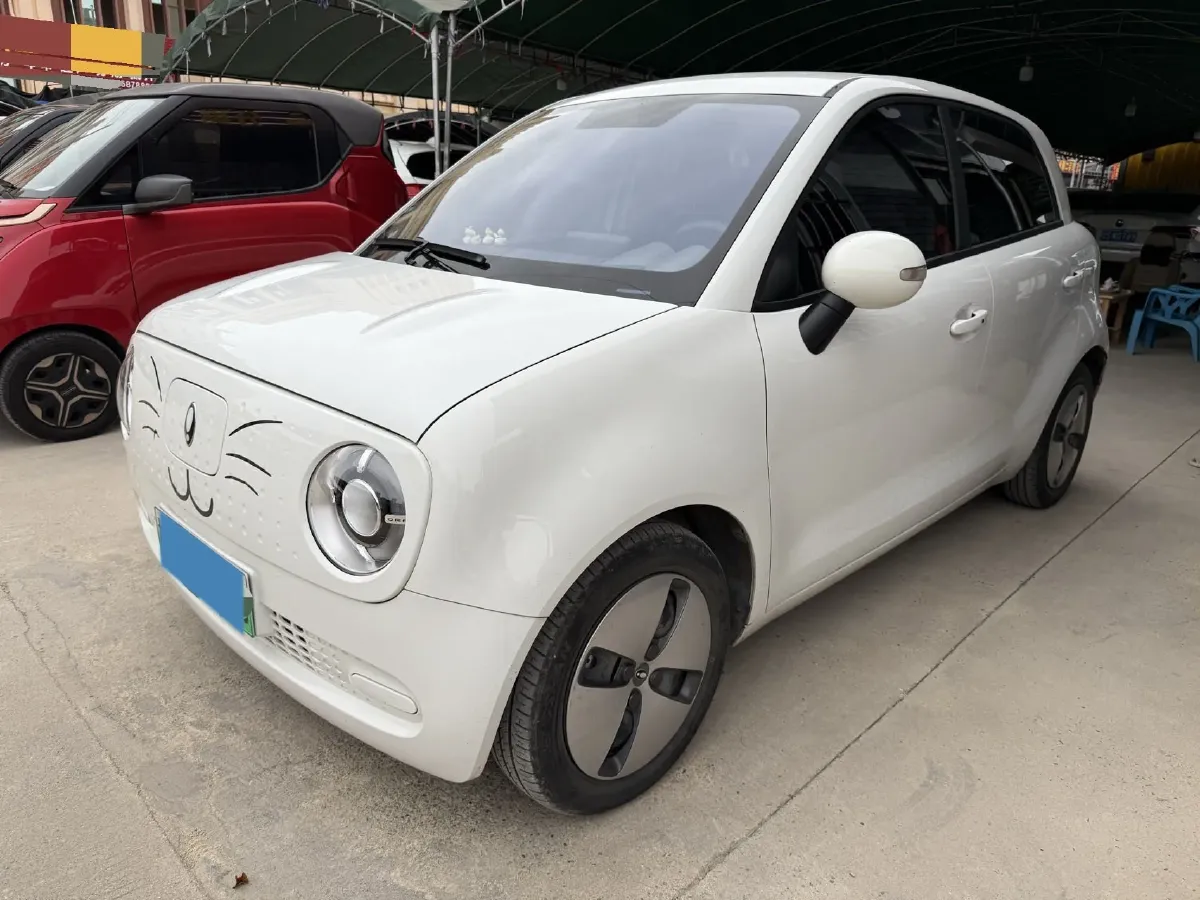 2021 Ora BlackCat BEV 33KWH,autocango,china used car exporter,china ev exporter,chinese used car exporter,chinese used ev exporter
