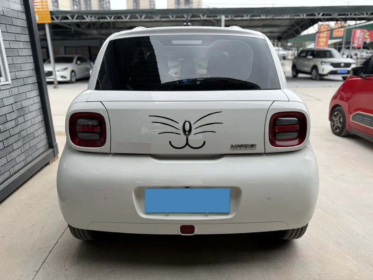 2021 Ora BlackCat BEV 33KWH,autocango,china used car exporter,china ev exporter,chinese used car exporter,chinese used ev exporter
