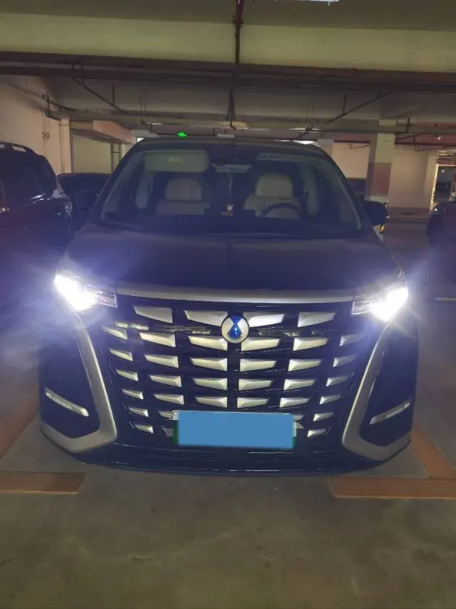 2024 Denza D9 1.5T 139HP L4 E-CVT PHEV 40KWH,autocango,china used car exporter,china ev exporter,chinese used car exporter,chinese used ev exporter