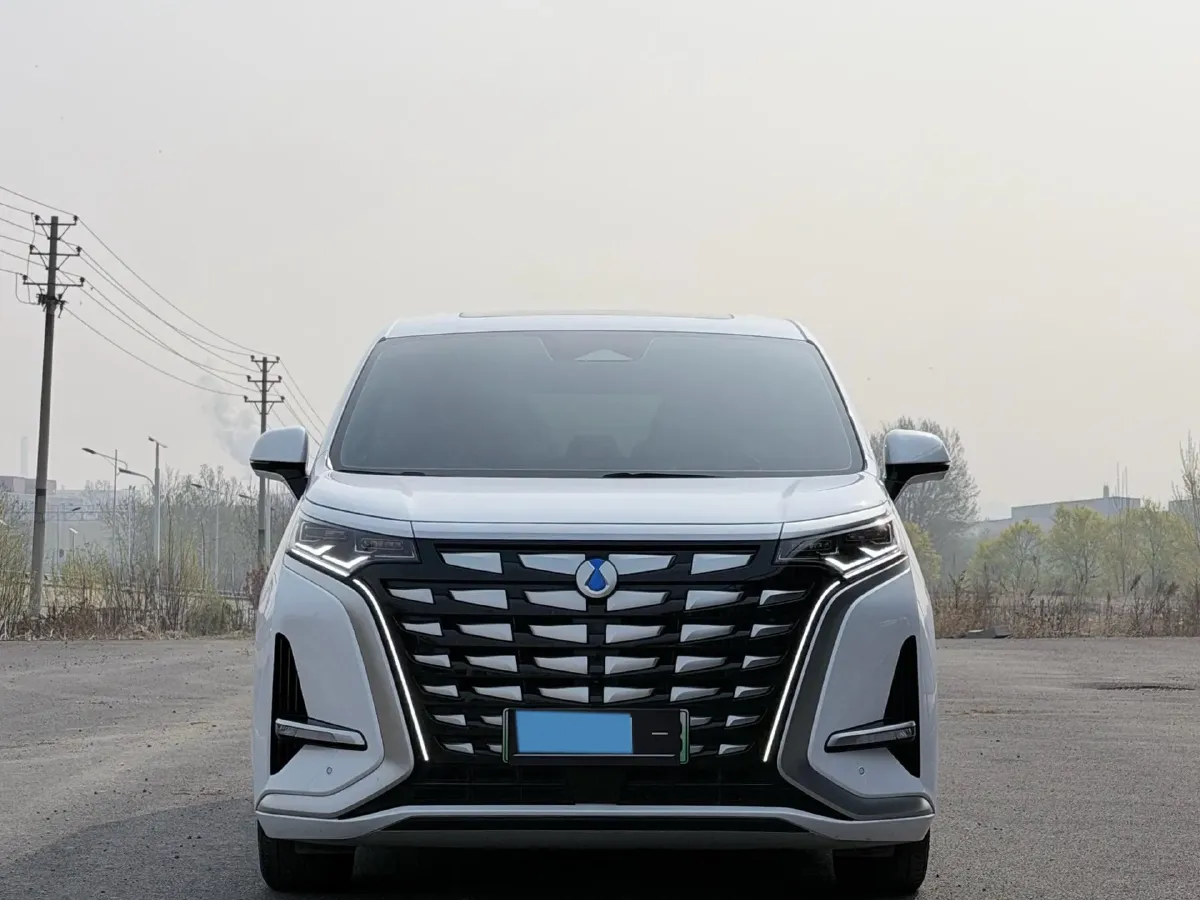 2024 Denza D9 1.5T 139HP L4 E-CVT PHEV 40KWH,autocango,china used car exporter,china ev exporter,chinese used car exporter,chinese used ev exporter