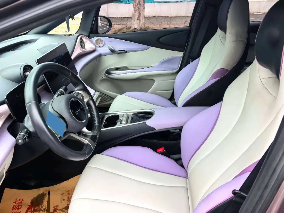 2021 BYD e2 BEV 43.2KWH,autocango,china used car exporter,china ev exporter,chinese used car exporter,chinese used ev exporter