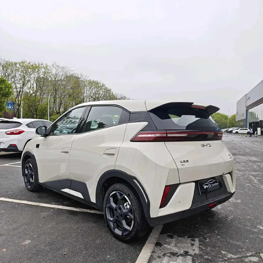 2025 BYD Seagull BEV 30.08KWH,autocango,china used car exporter,china ev exporter,chinese used car exporter,chinese used ev exporter